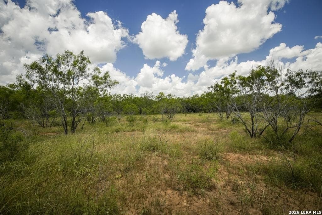 50 acres in Guadalupe County - photo 21
