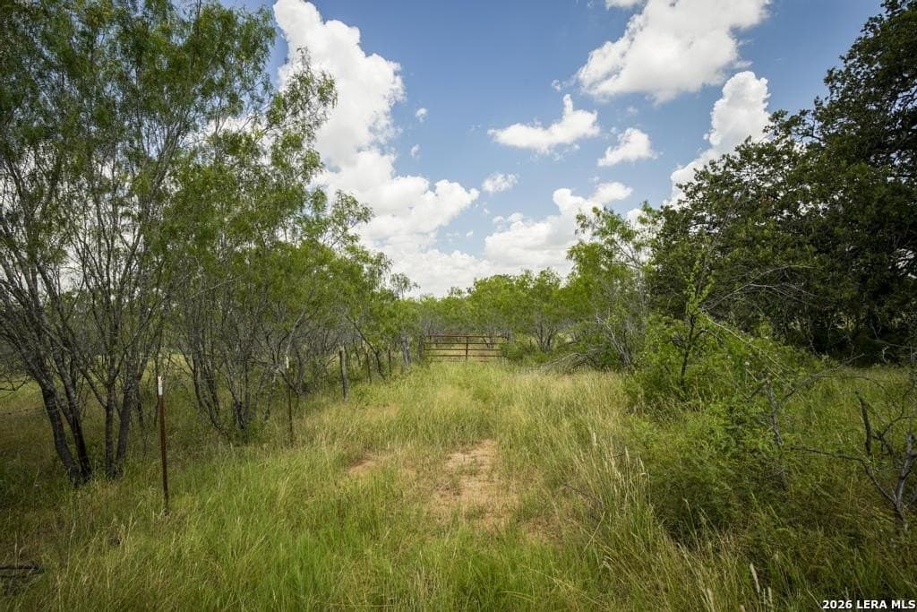 50 acres in Guadalupe County - photo 15