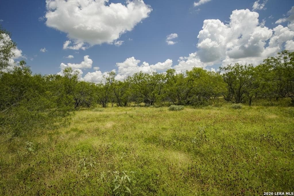 50 acres in Guadalupe County - photo 31