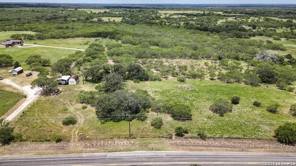 50 acres in Guadalupe County gallery image 2