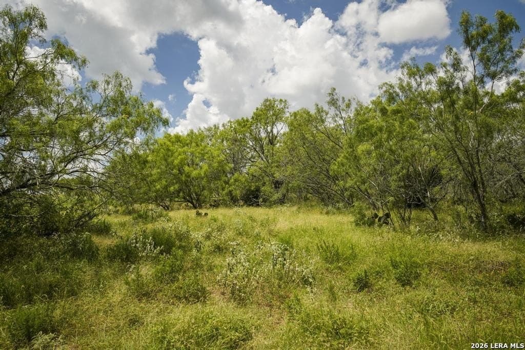 50 acres in Guadalupe County - photo 33