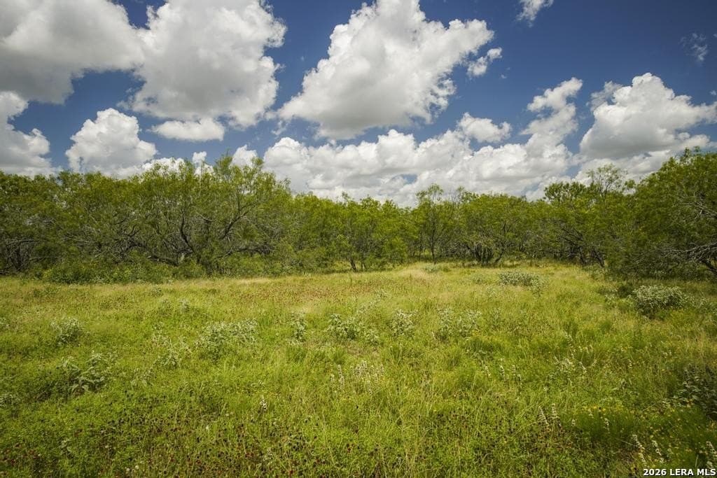 50 acres in Guadalupe County - photo 28