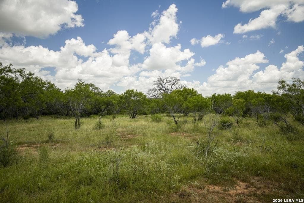 50 acres in Guadalupe County - photo 23