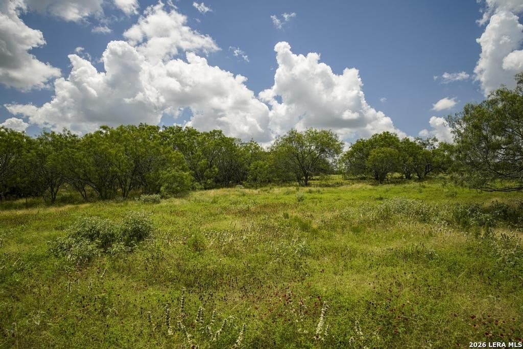 50 acres in Guadalupe County - photo 32