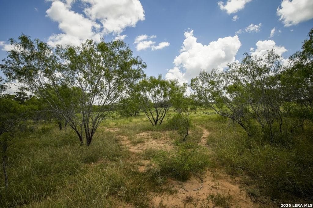 50 acres in Guadalupe County - photo 17