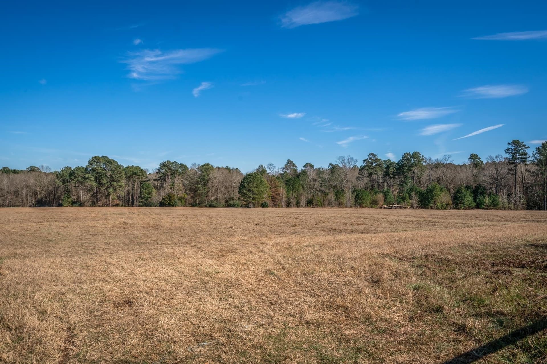 35.18 acres in Marion County - photo 9
