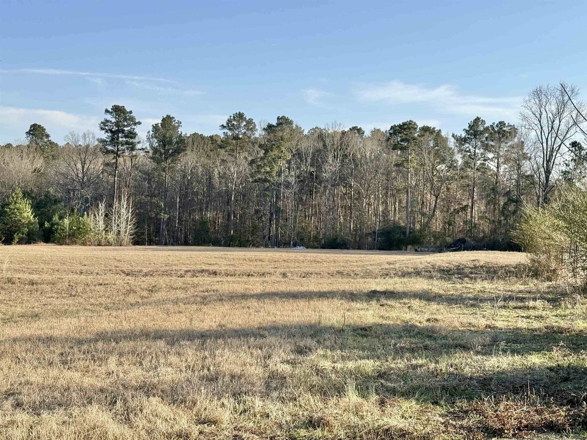 35.18 acres in Marion County gallery image 3