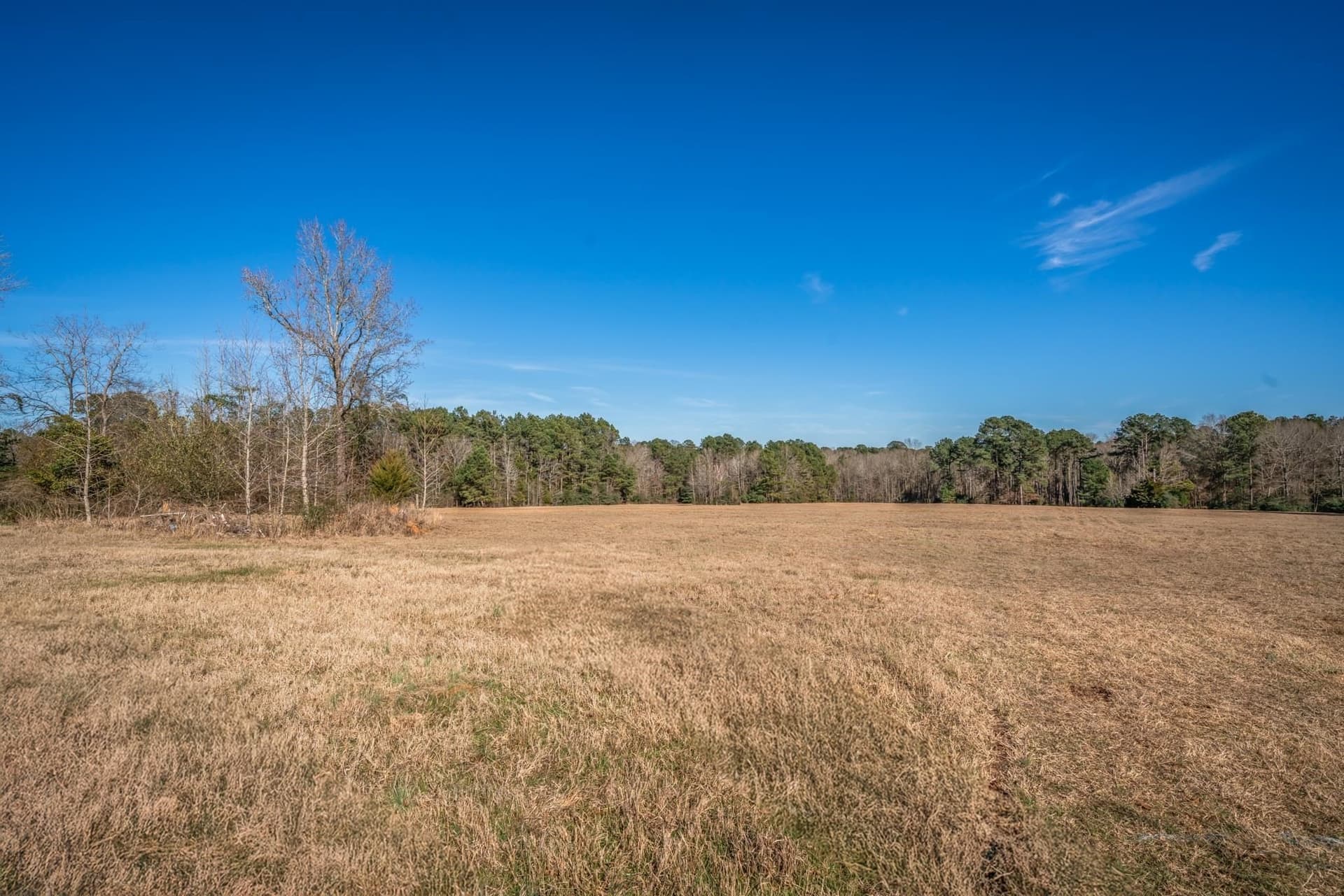 35.18 acres in Marion County - photo 10