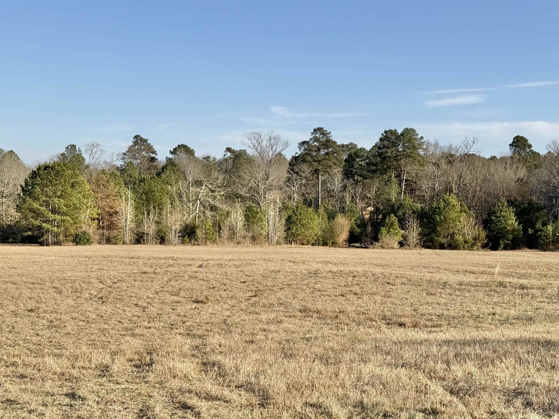 35.18 acres in Marion County gallery image 4