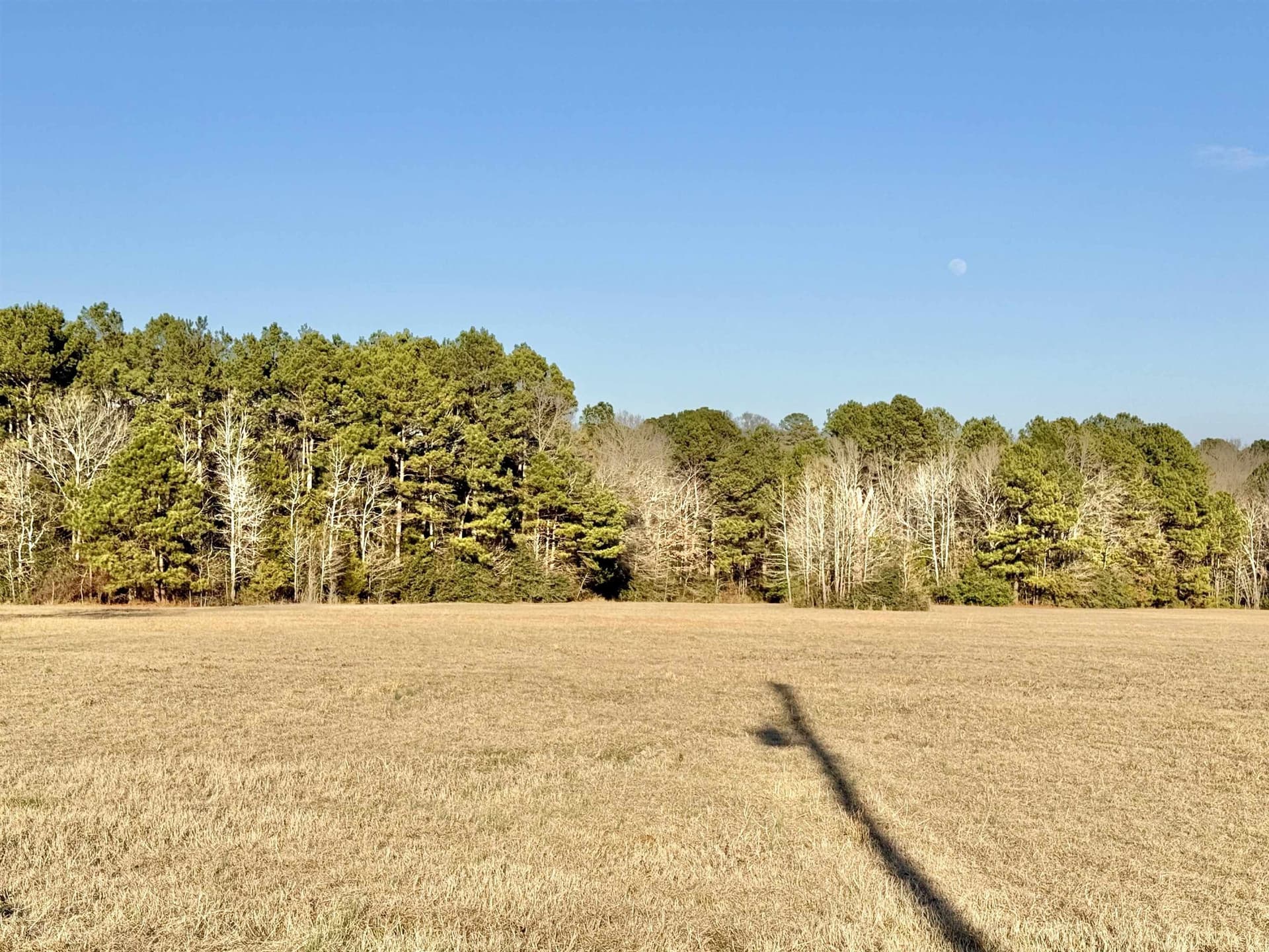 35.18 acres in Marion County - photo 6