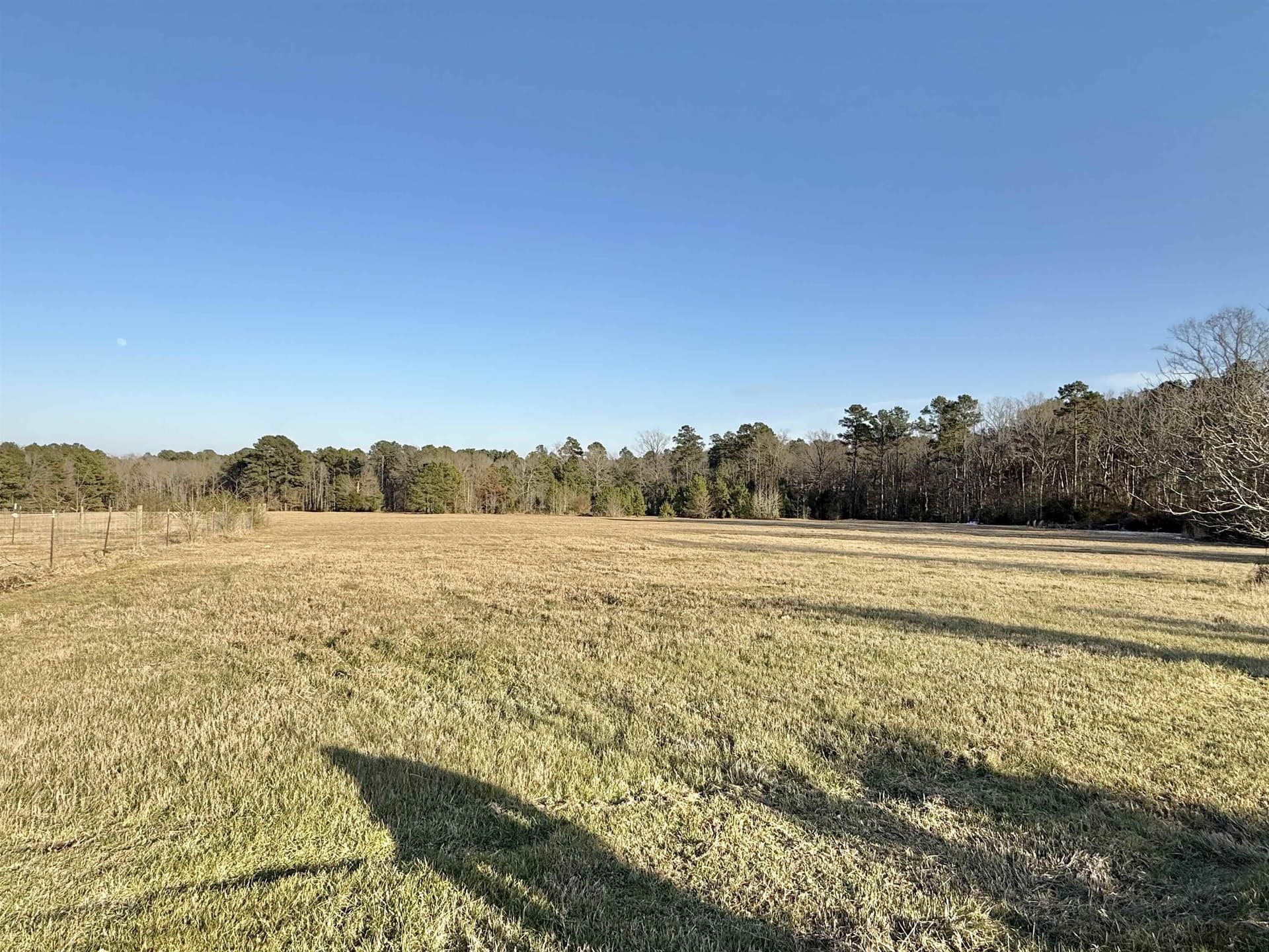 35.18 acres in Marion County gallery image 2