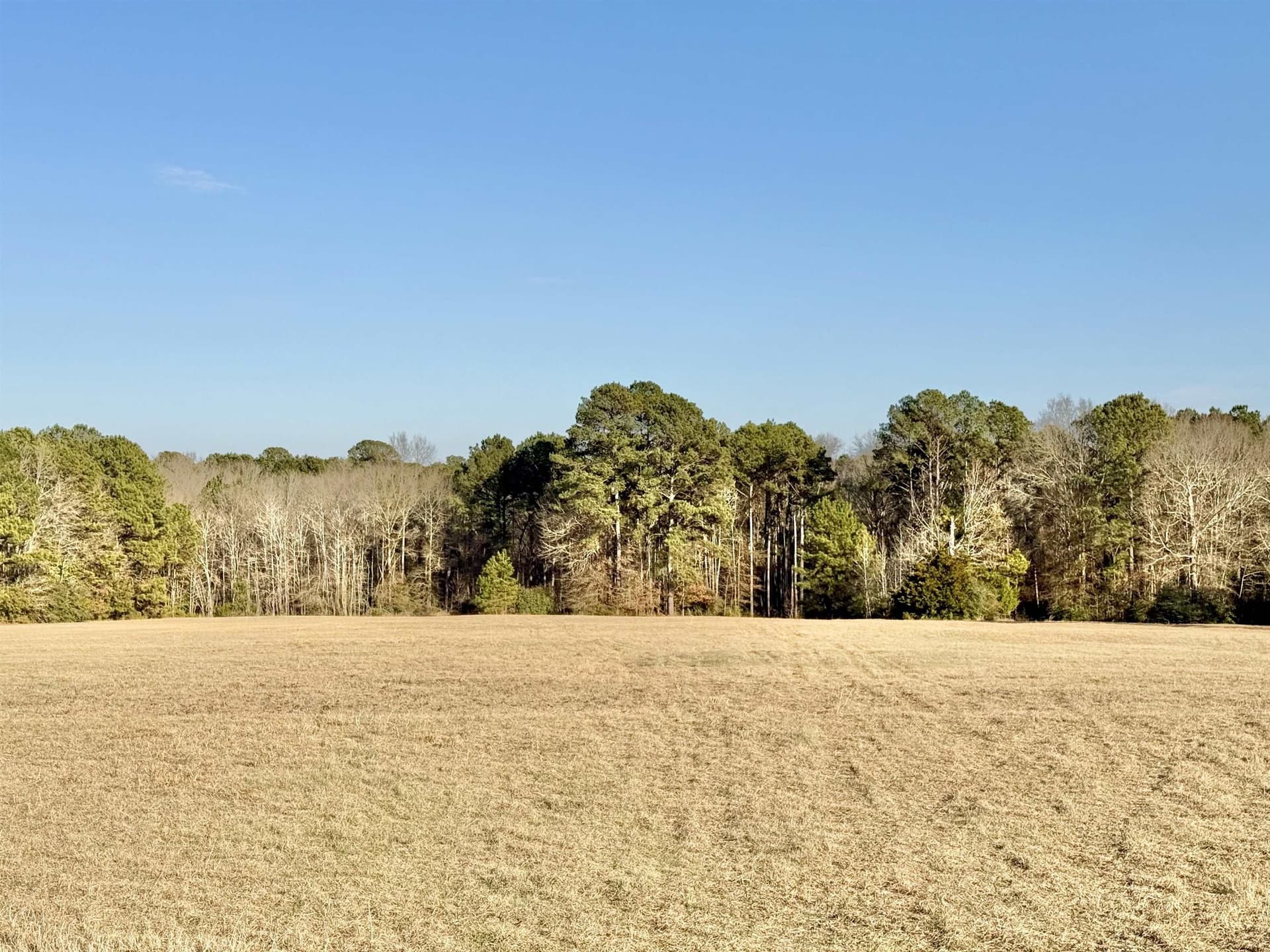 35.18 acres in Marion County featured view