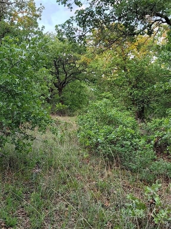 21.45 acres in Montague County gallery image 4