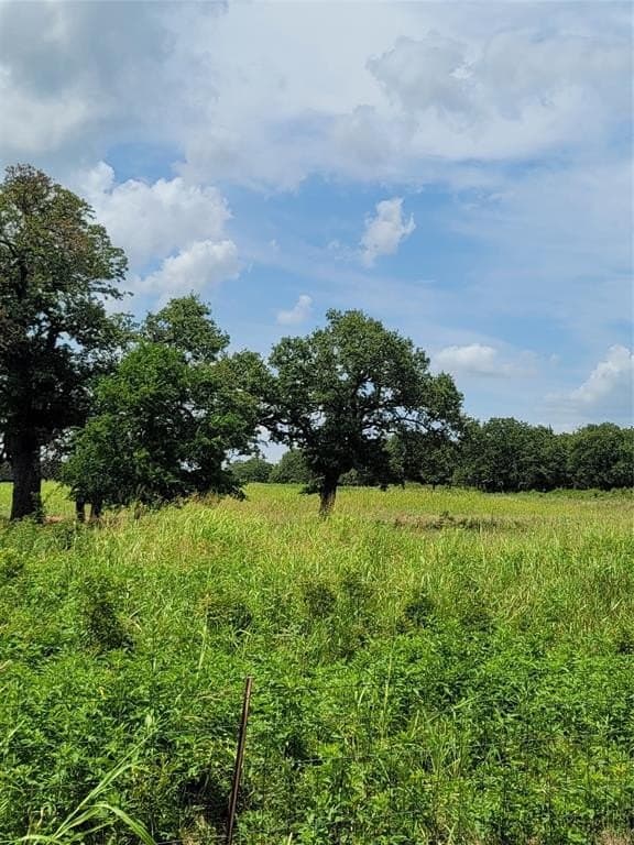 21.45 acres in Montague County