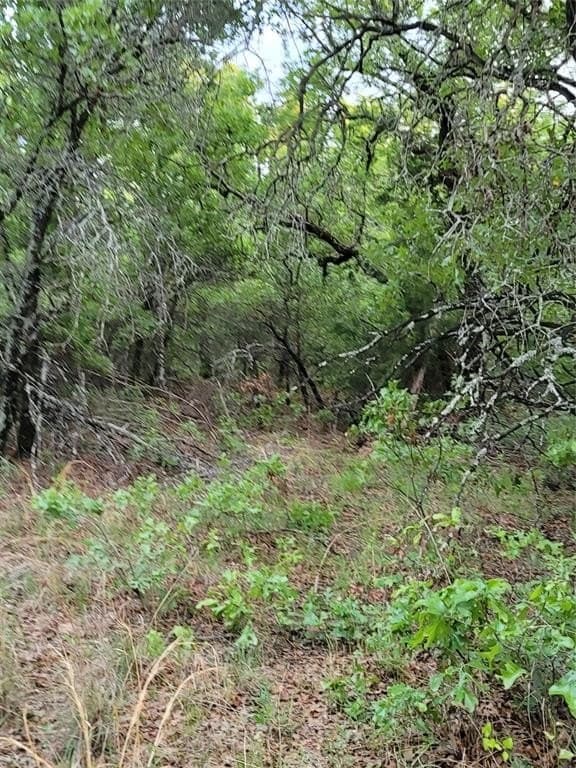 21.45 acres in Montague County gallery image 3