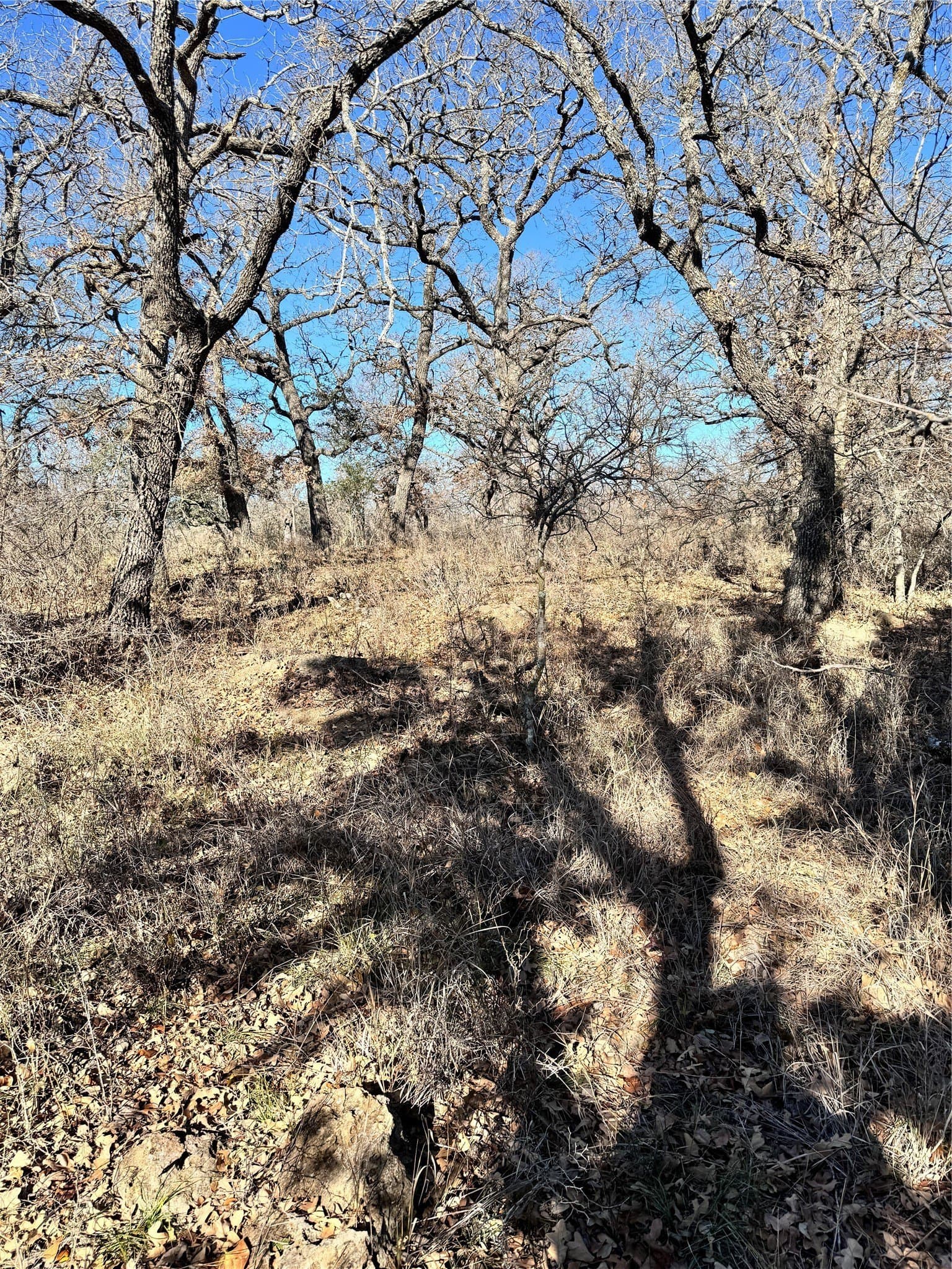 0.51 acres in Brown County gallery image 3