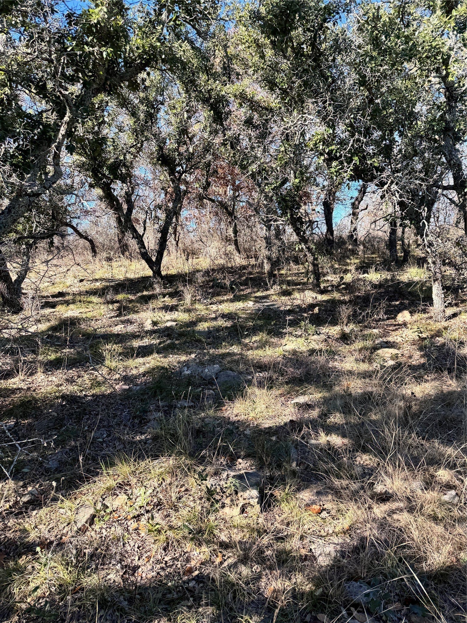 0.51 acres in Brown County featured view