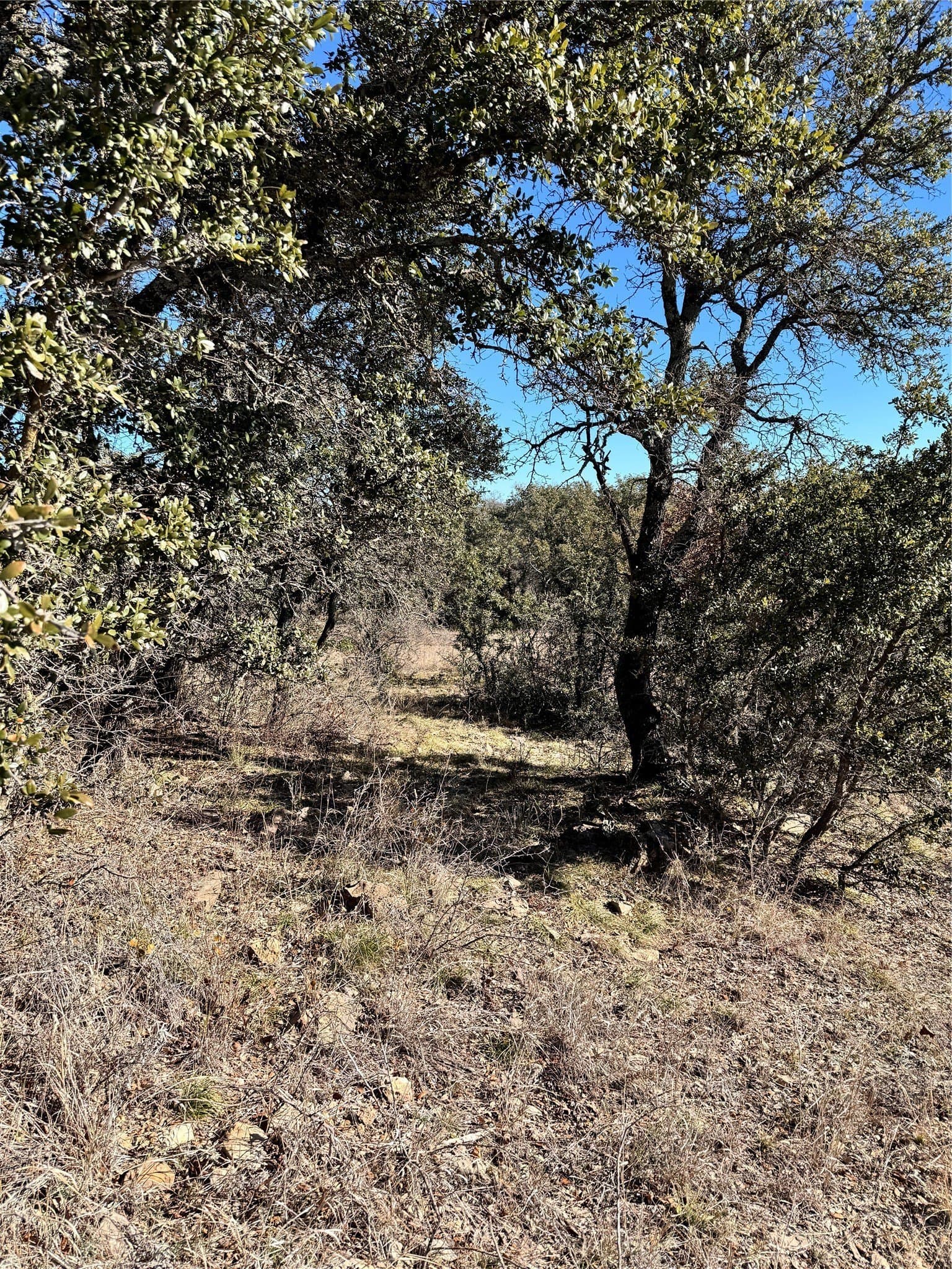 0.51 acres in Brown County gallery image 2