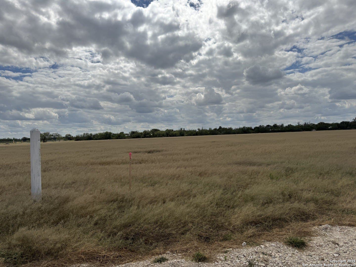 6 acres in Zavala County gallery image 4