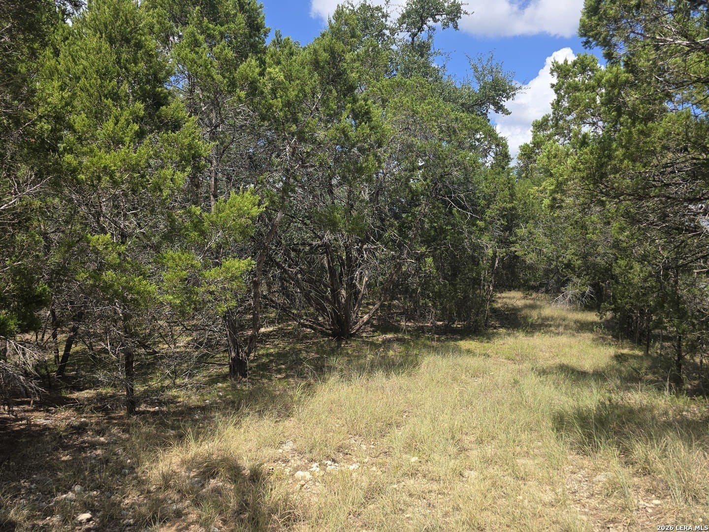 4.96 acres in Kendall County - photo 7