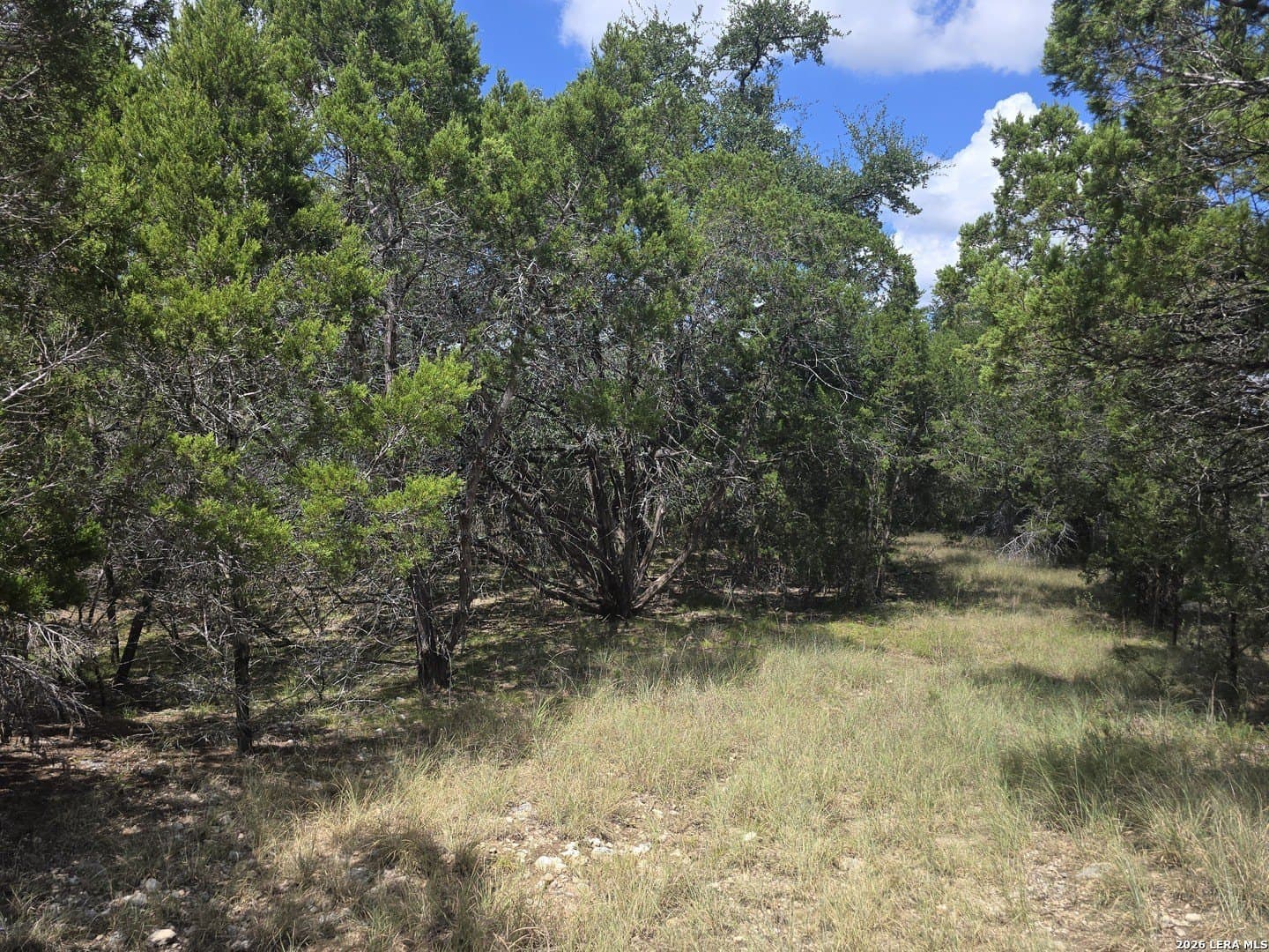 4.96 acres in Kendall County - photo 8