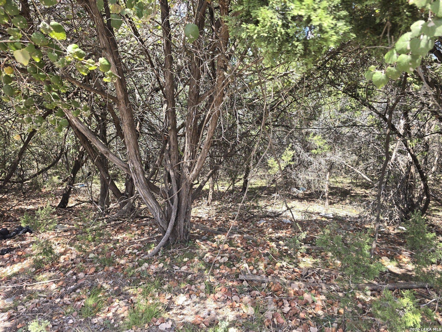 4.96 acres in Kendall County - photo 3