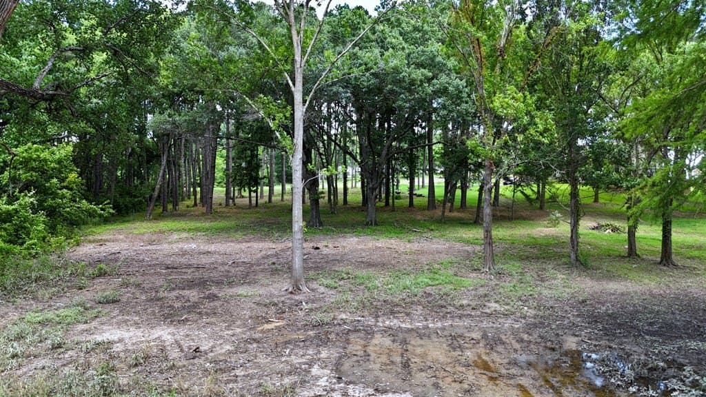 1.38 acres in Henderson County - photo 7