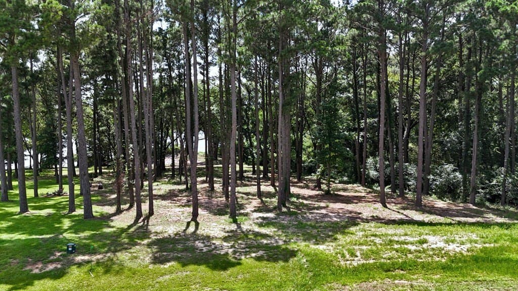 1.38 acres in Henderson County gallery image 4