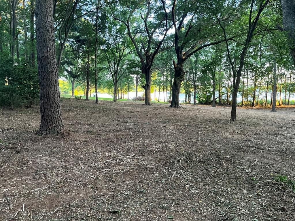 1.38 acres in Henderson County - photo 24
