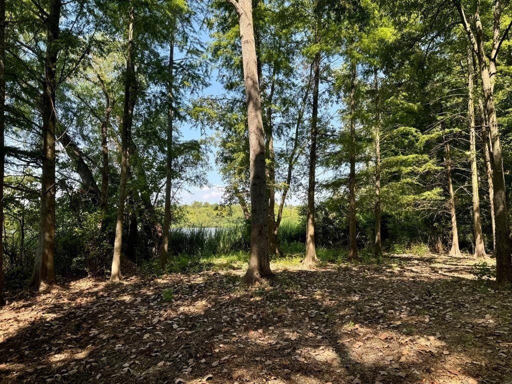 1.38 acres in Henderson County - photo 22