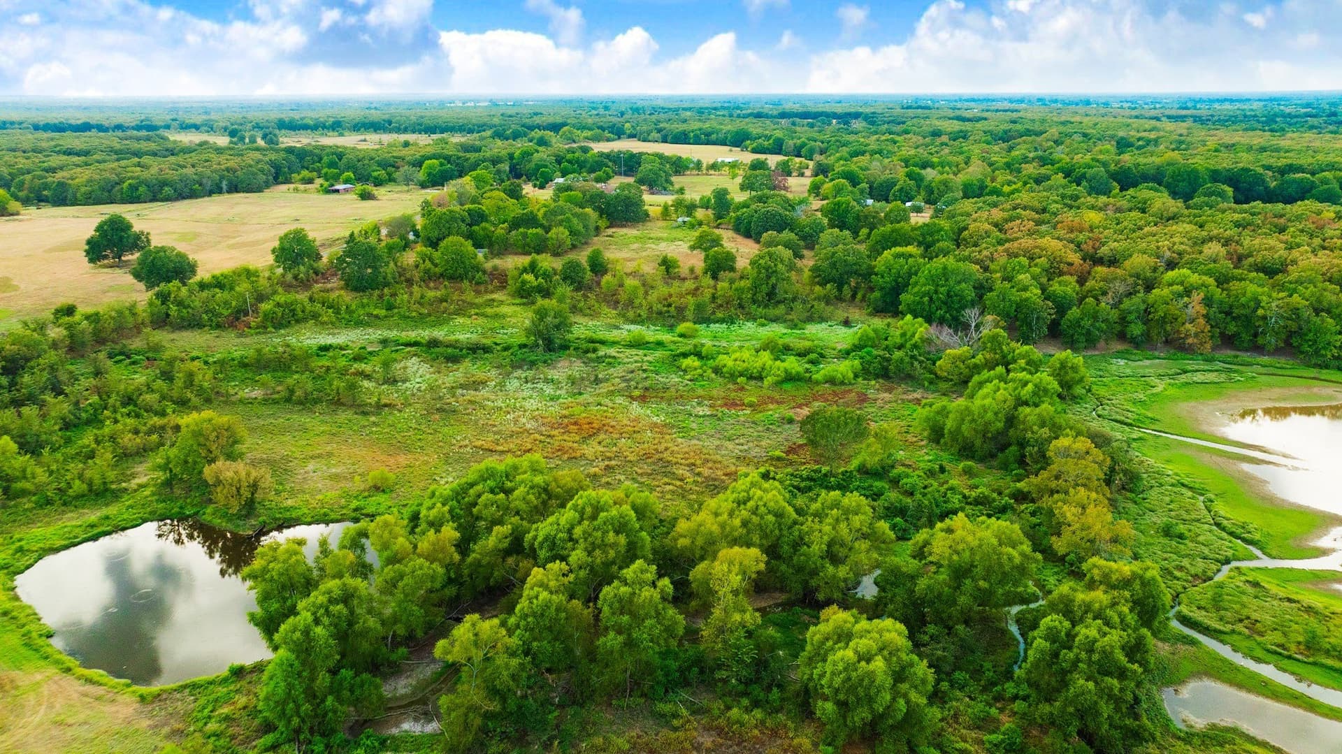 83.98 acres in Lamar County - photo 21