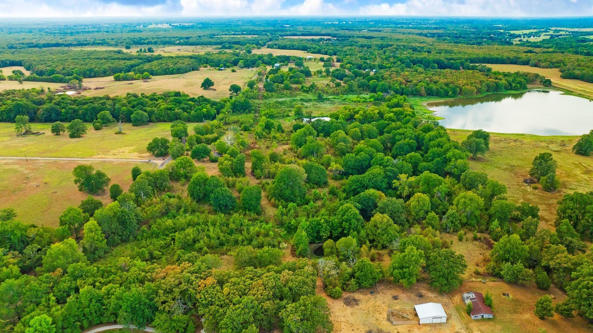 83.98 acres in Lamar County - photo 24