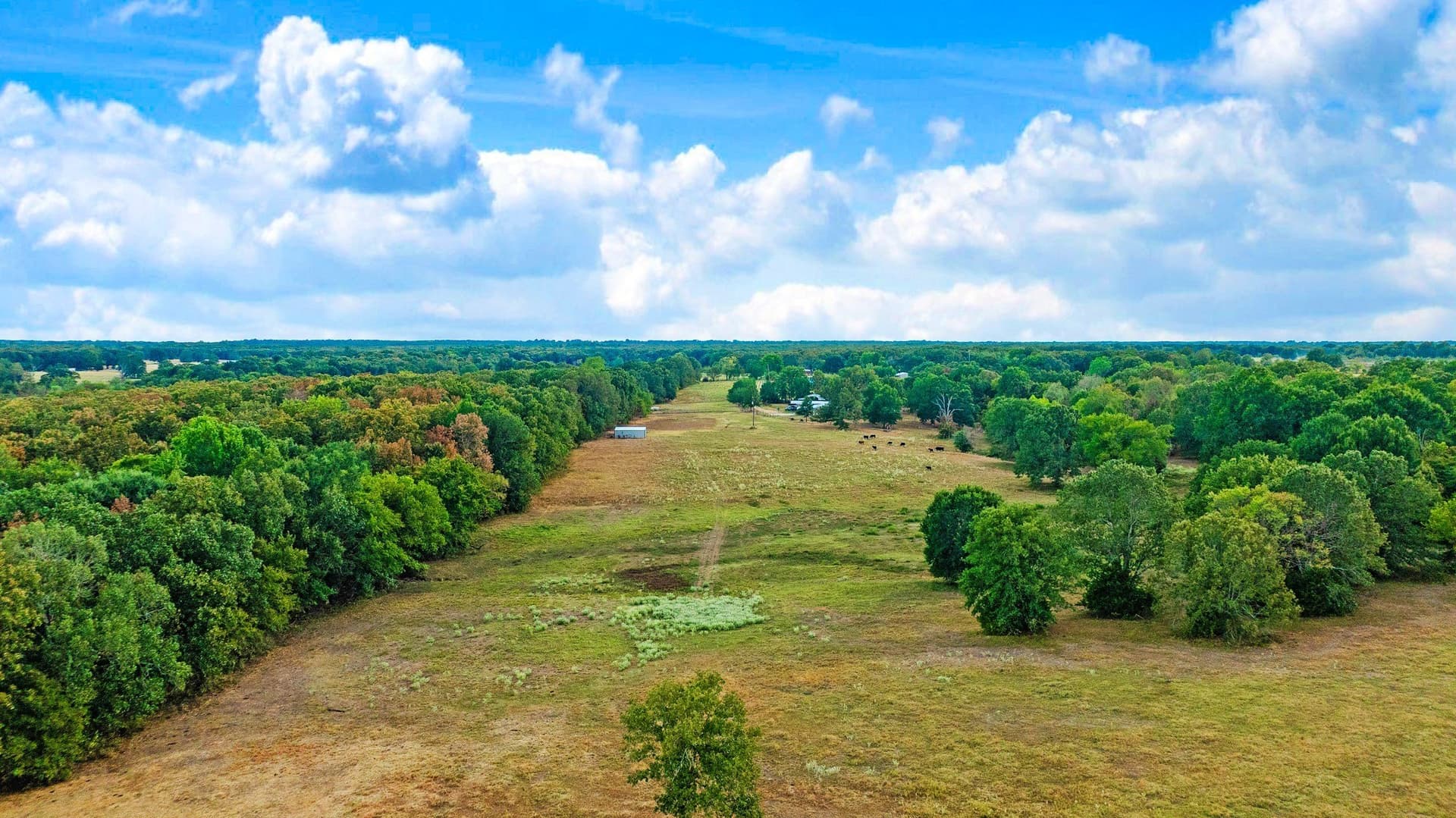 83.98 acres in Lamar County - photo 13