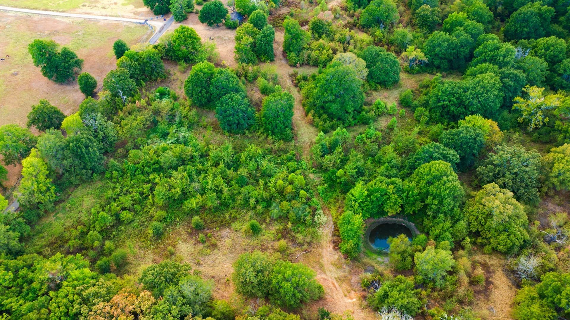 83.98 acres in Lamar County - photo 23