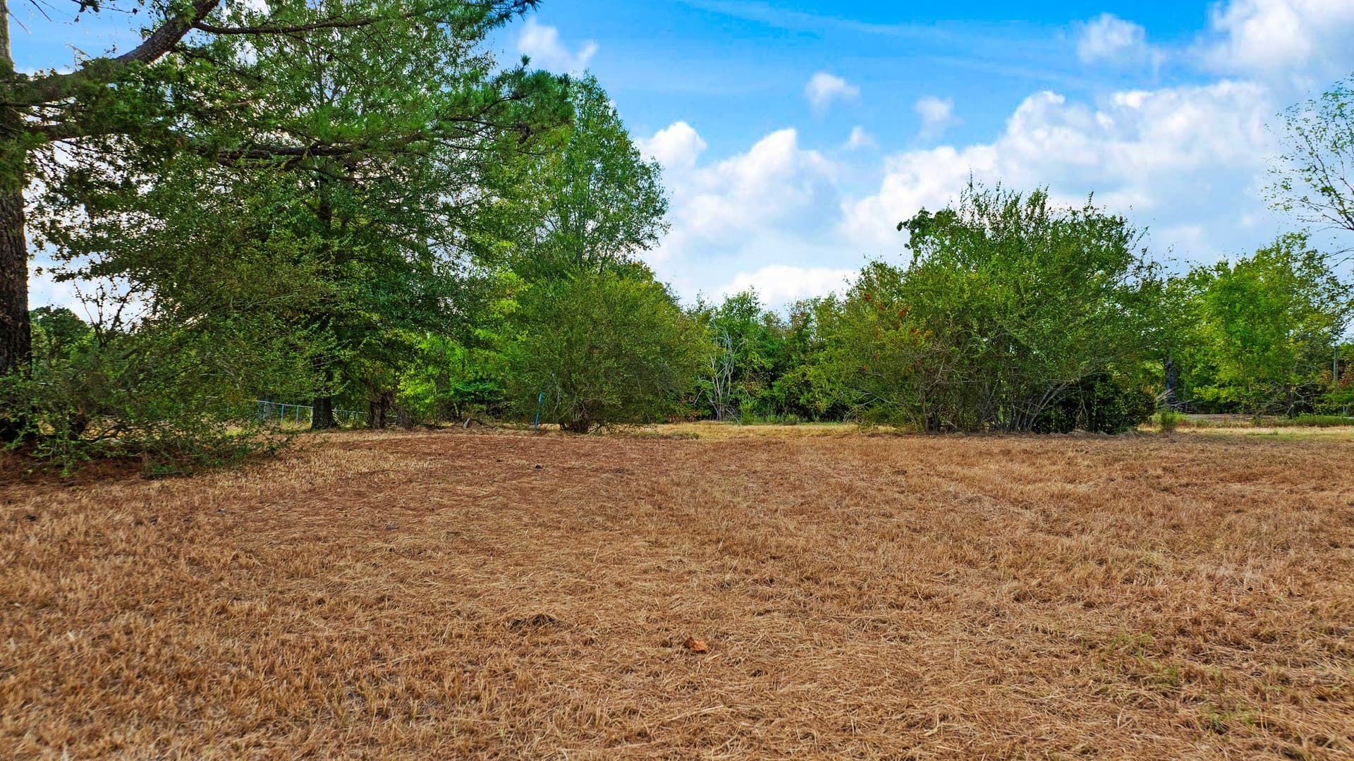 83.98 acres in Lamar County - photo 7