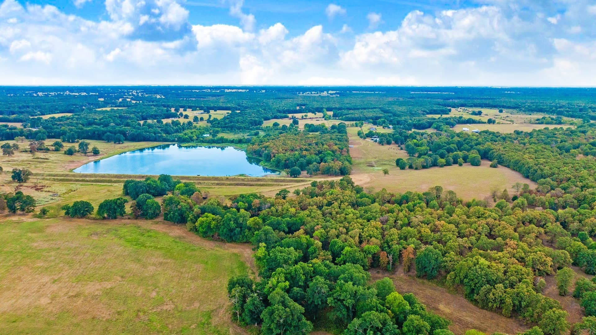 83.98 acres in Lamar County - photo 14