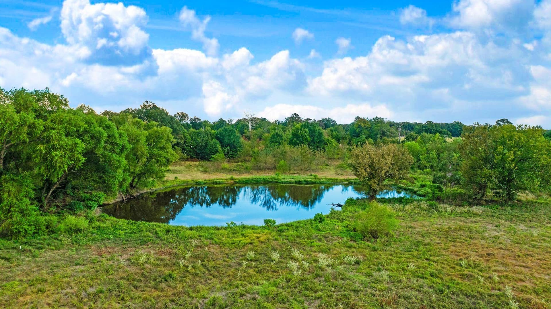 83.98 acres in Lamar County - photo 20