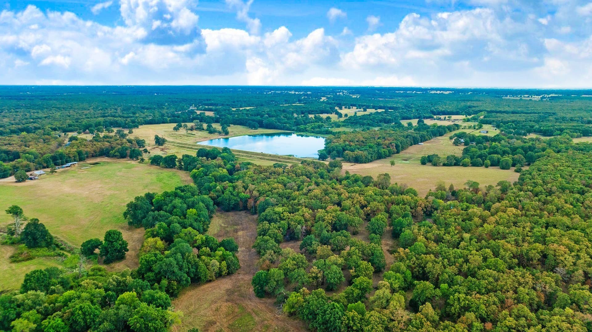 83.98 acres in Lamar County - photo 16