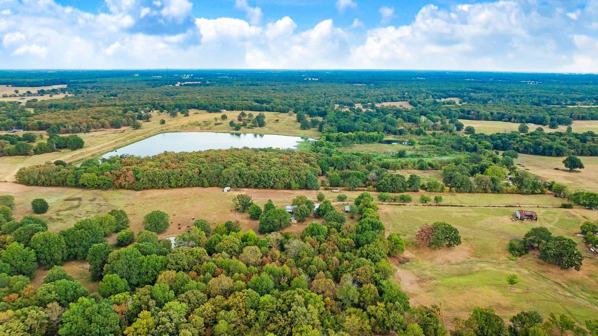 83.98 acres in Lamar County - photo 17