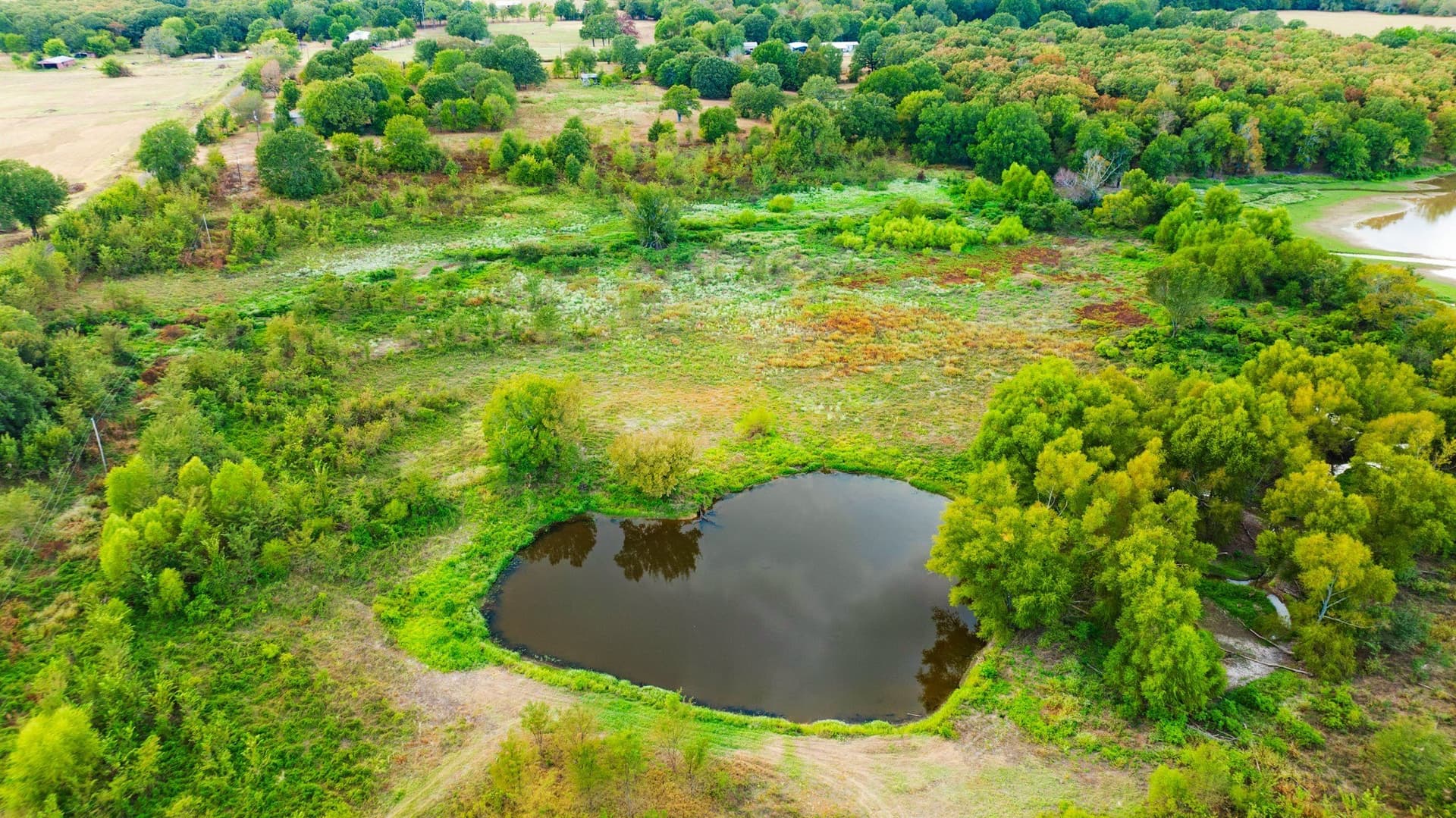 83.98 acres in Lamar County - photo 22