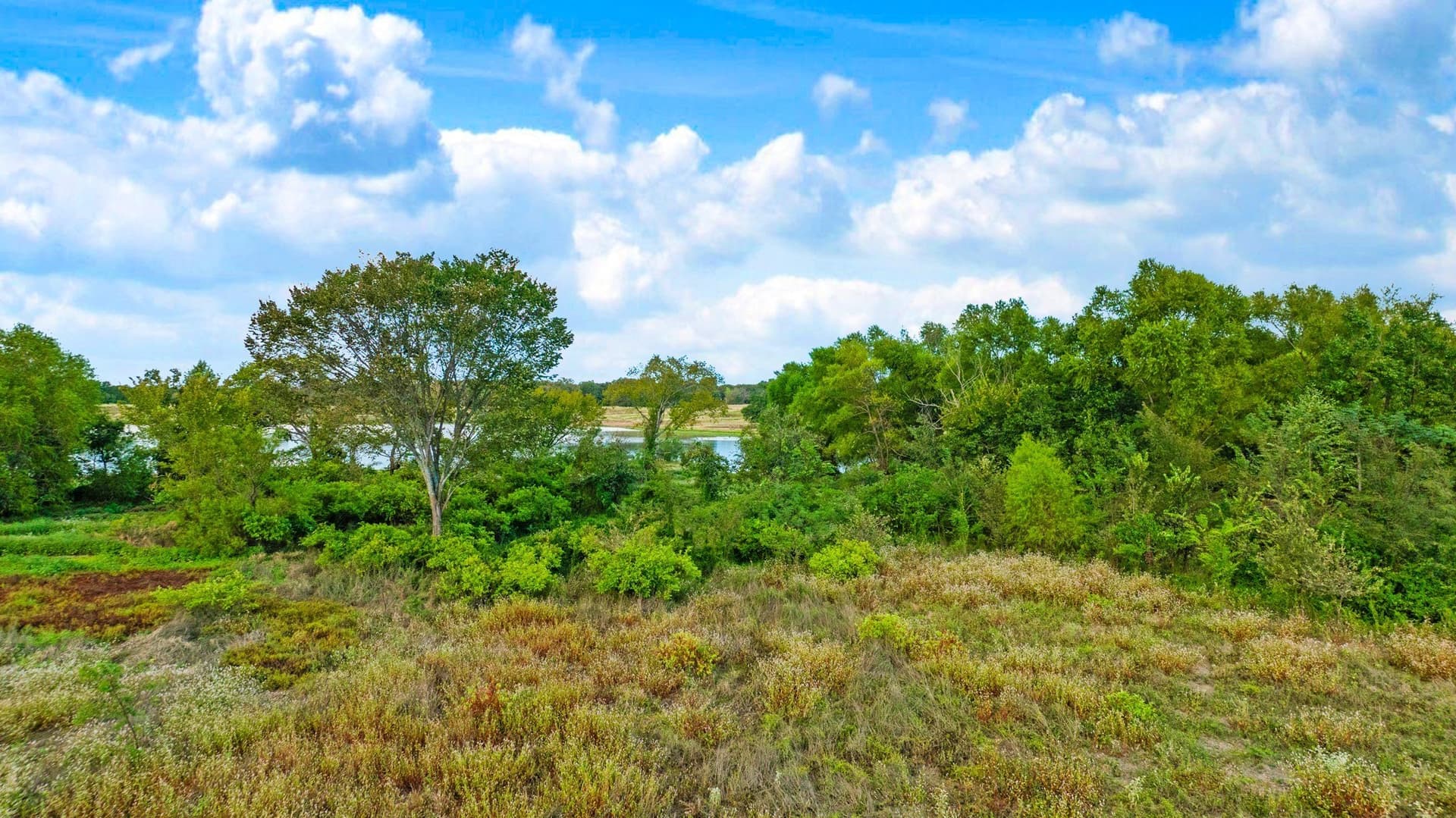 83.98 acres in Lamar County - photo 19