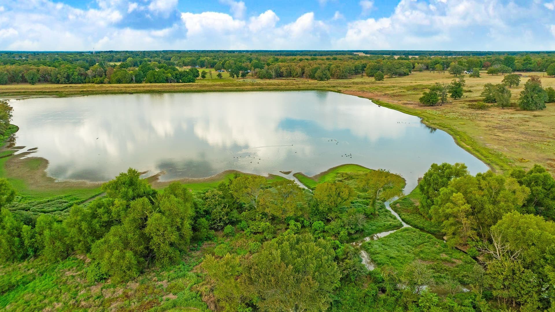 83.98 acres in Lamar County - photo 18