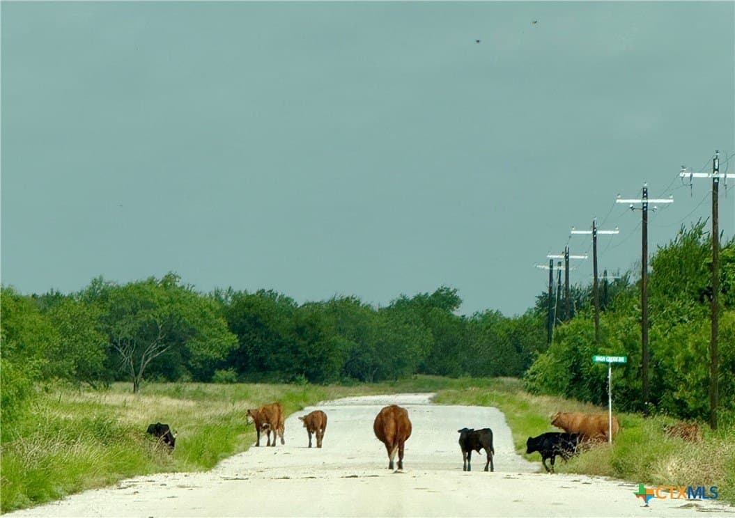5.21 acres in Coryell County gallery image 3