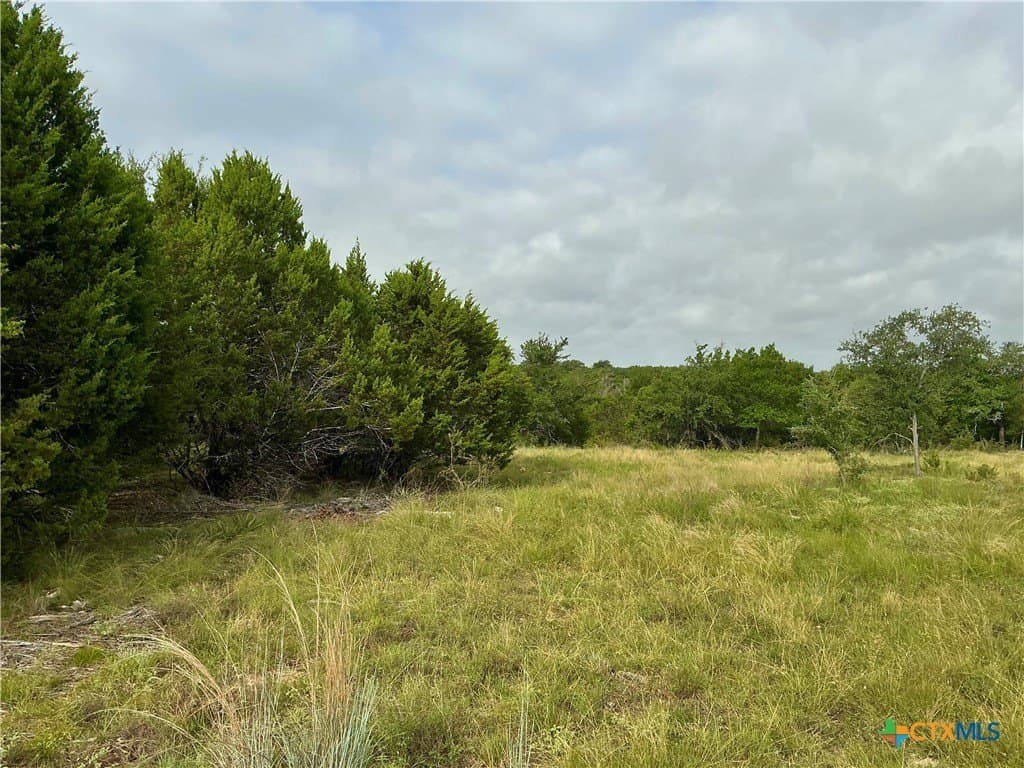 5.21 acres in Coryell County gallery image 4