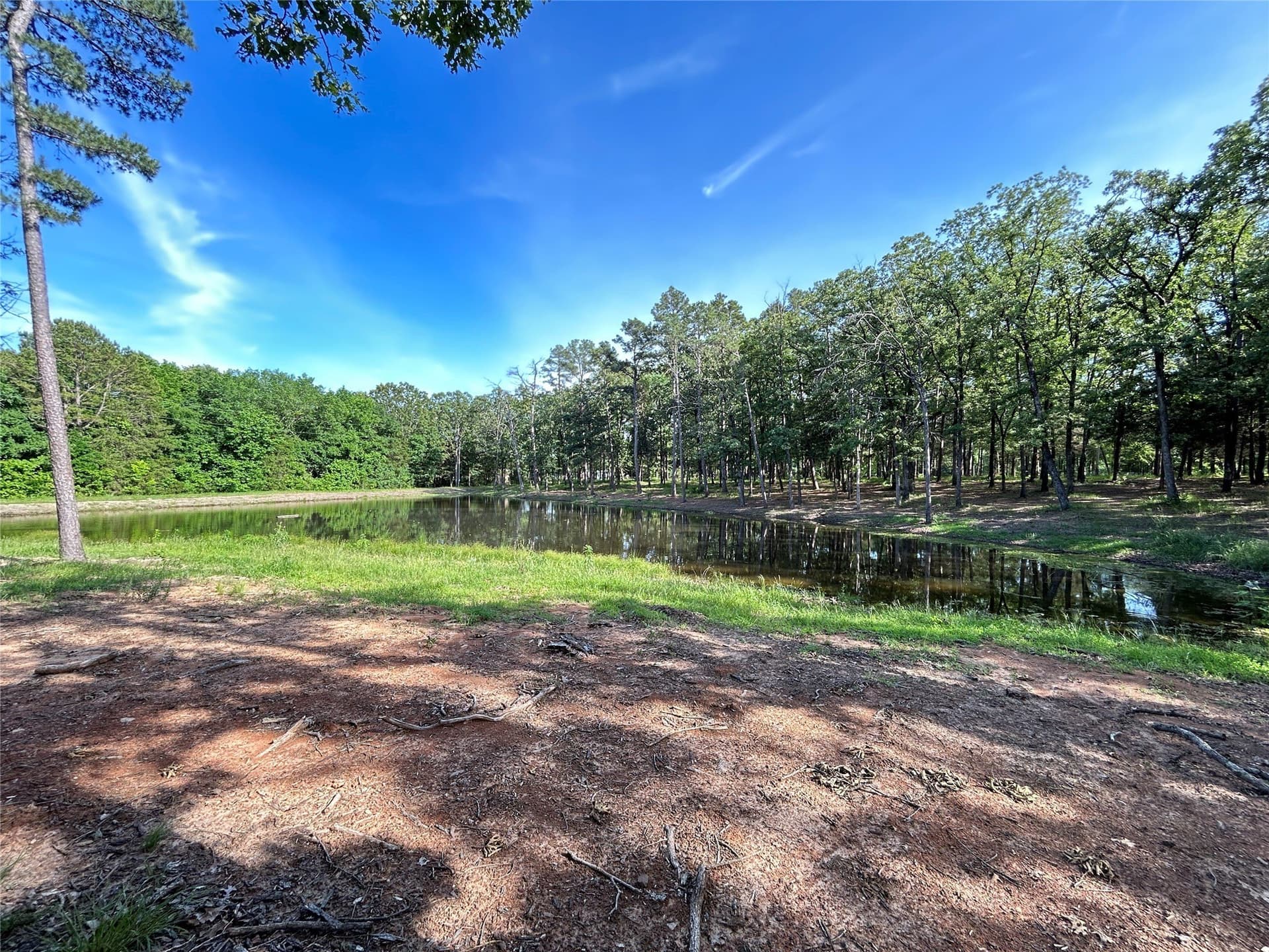 24.29 acres in Hopkins County - photo 6