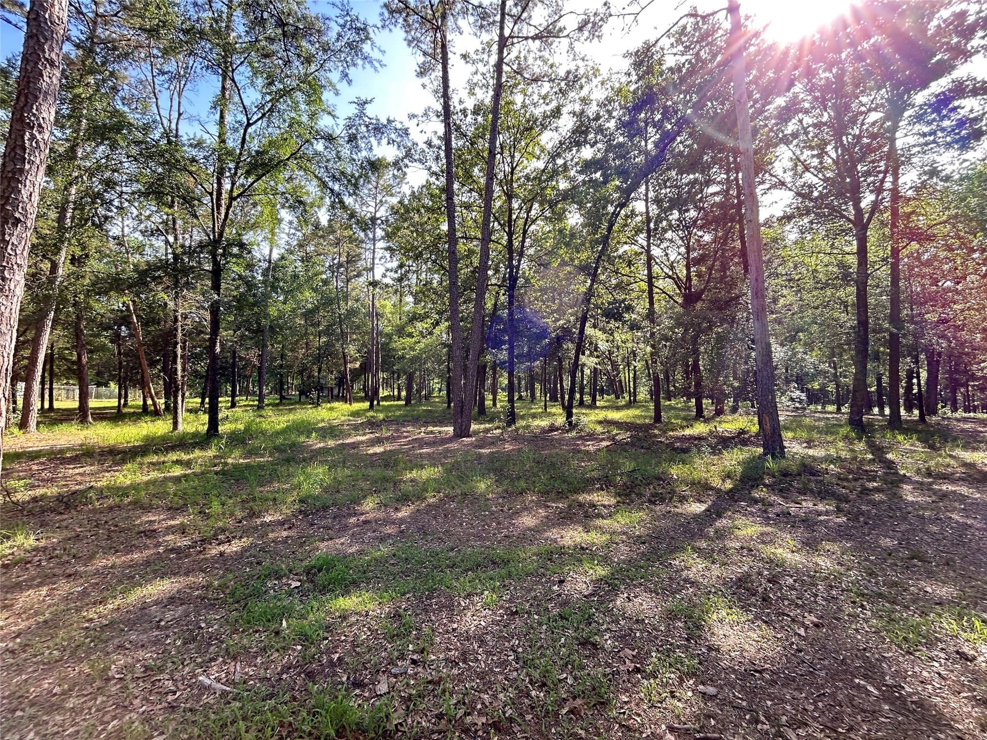 24.29 acres in Hopkins County - photo 7