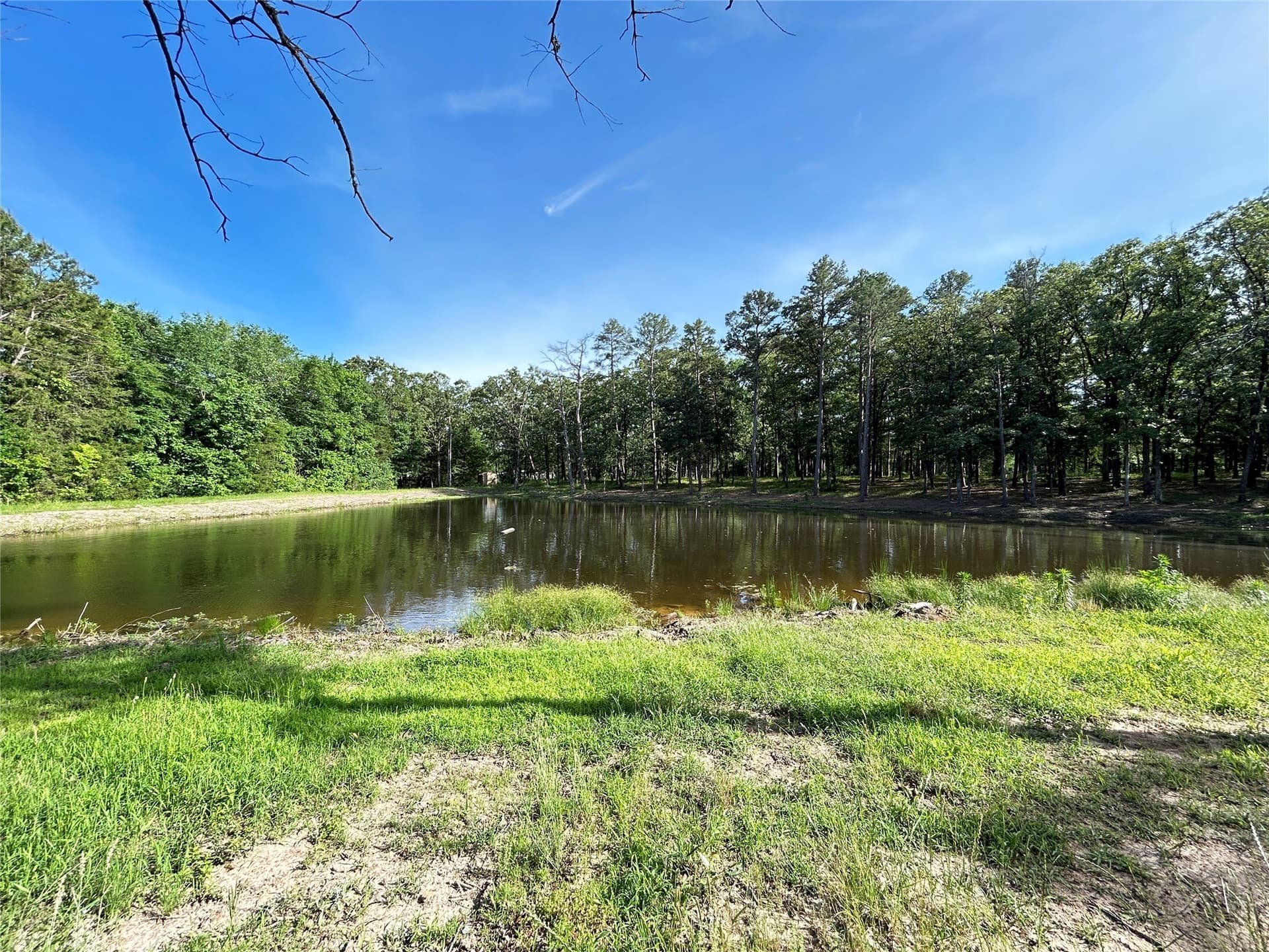 24.29 acres in Hopkins County - photo 25