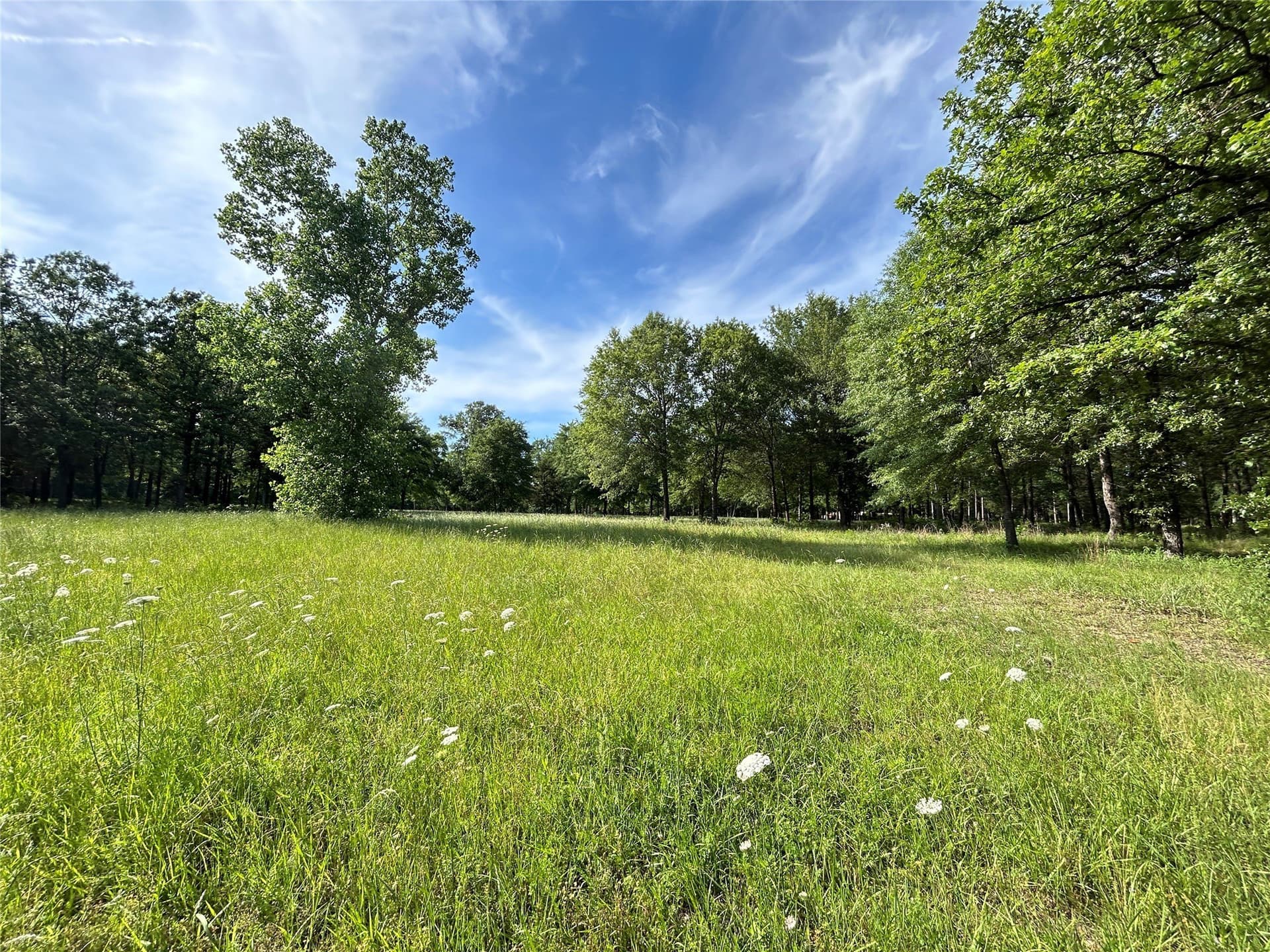 24.29 acres in Hopkins County - photo 40