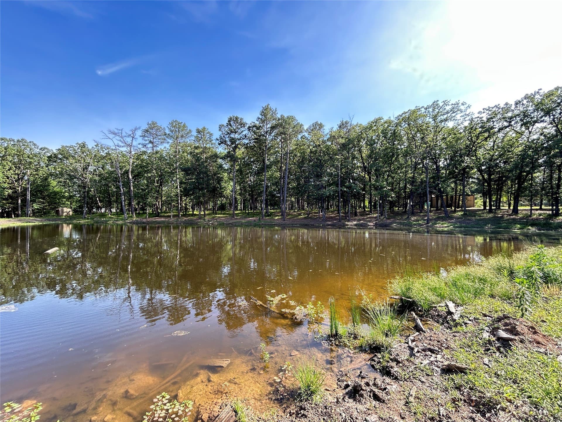 24.29 acres in Hopkins County - photo 26
