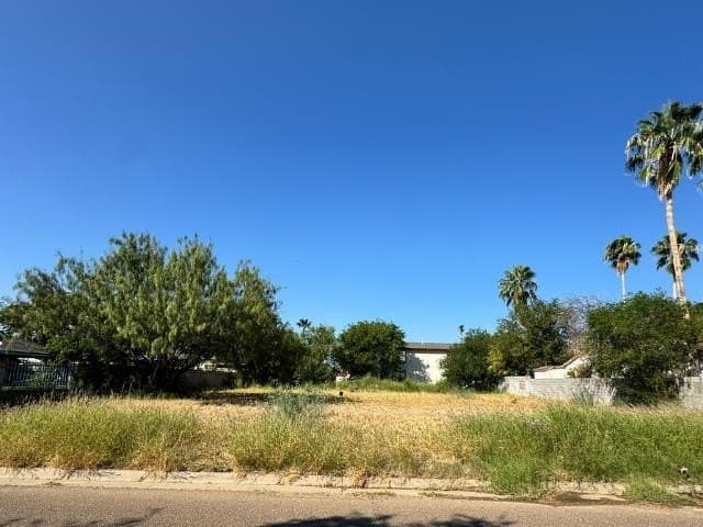 0.12 acres in webb County gallery image 4